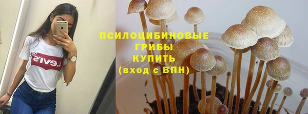 марки nbome Верхний Тагил